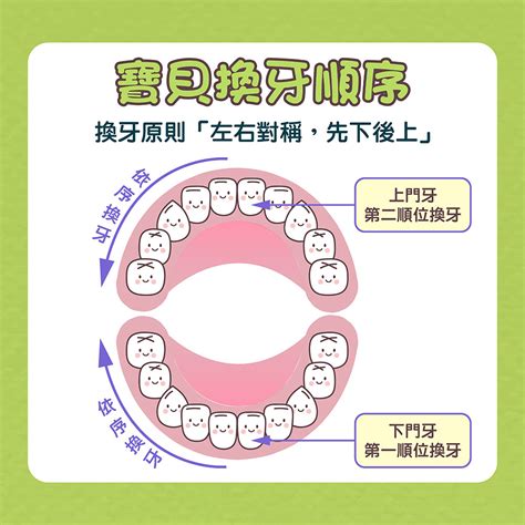 小朋友出大牙|【換牙順序】小朋友幾歲換牙正常？一文睇換牙期年齡。